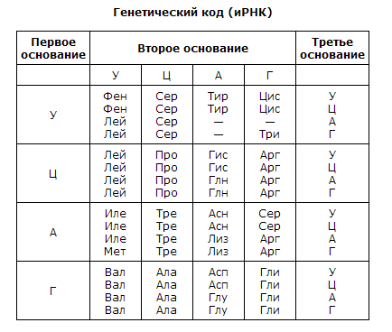 Генетический код ирнк. Генетический код и РНК таблица. Кодоны информационной РНК таблица.